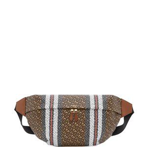Burberry Extra Large Monogram Stripe belt bag